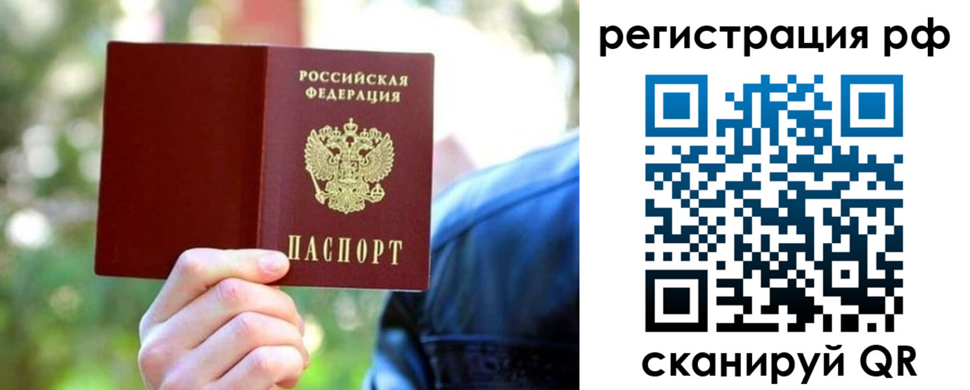 прописка поиск в Ардоне